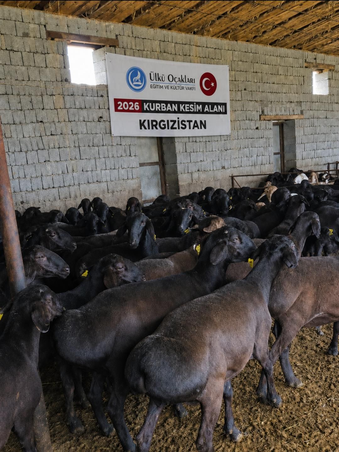 Kurban Tanıtımı