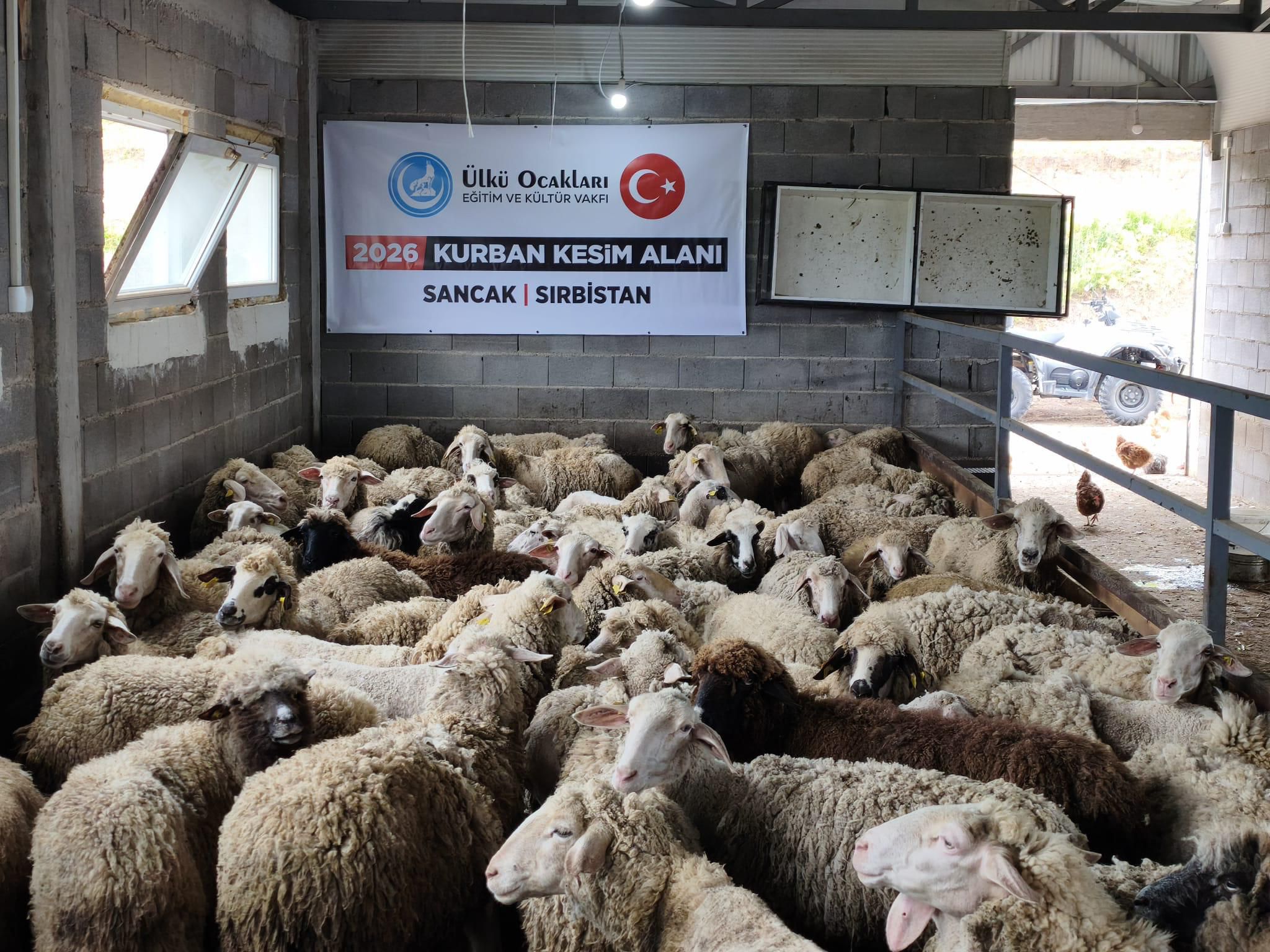 Kurban Tanıtımı