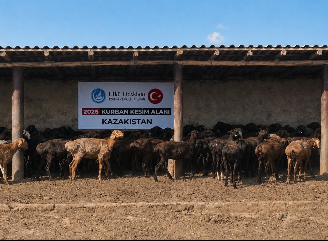 Kurban Tanıtımı