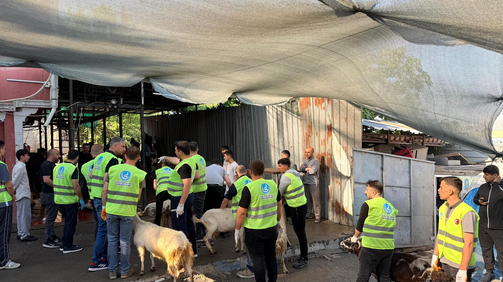 Kurban Tanıtımı
