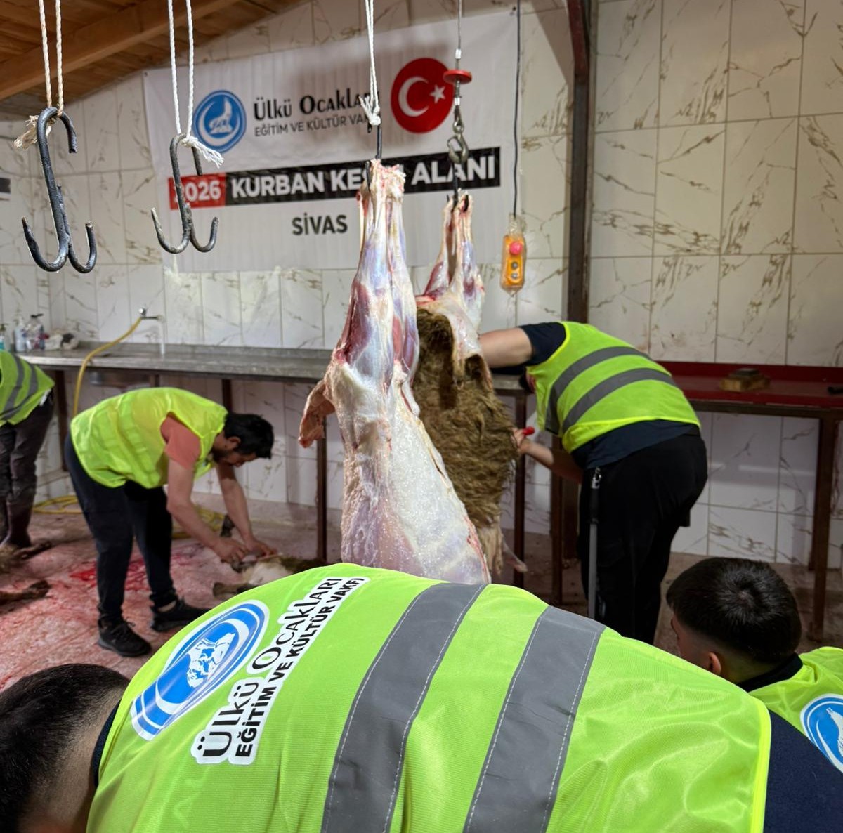 Kurban Tanıtımı