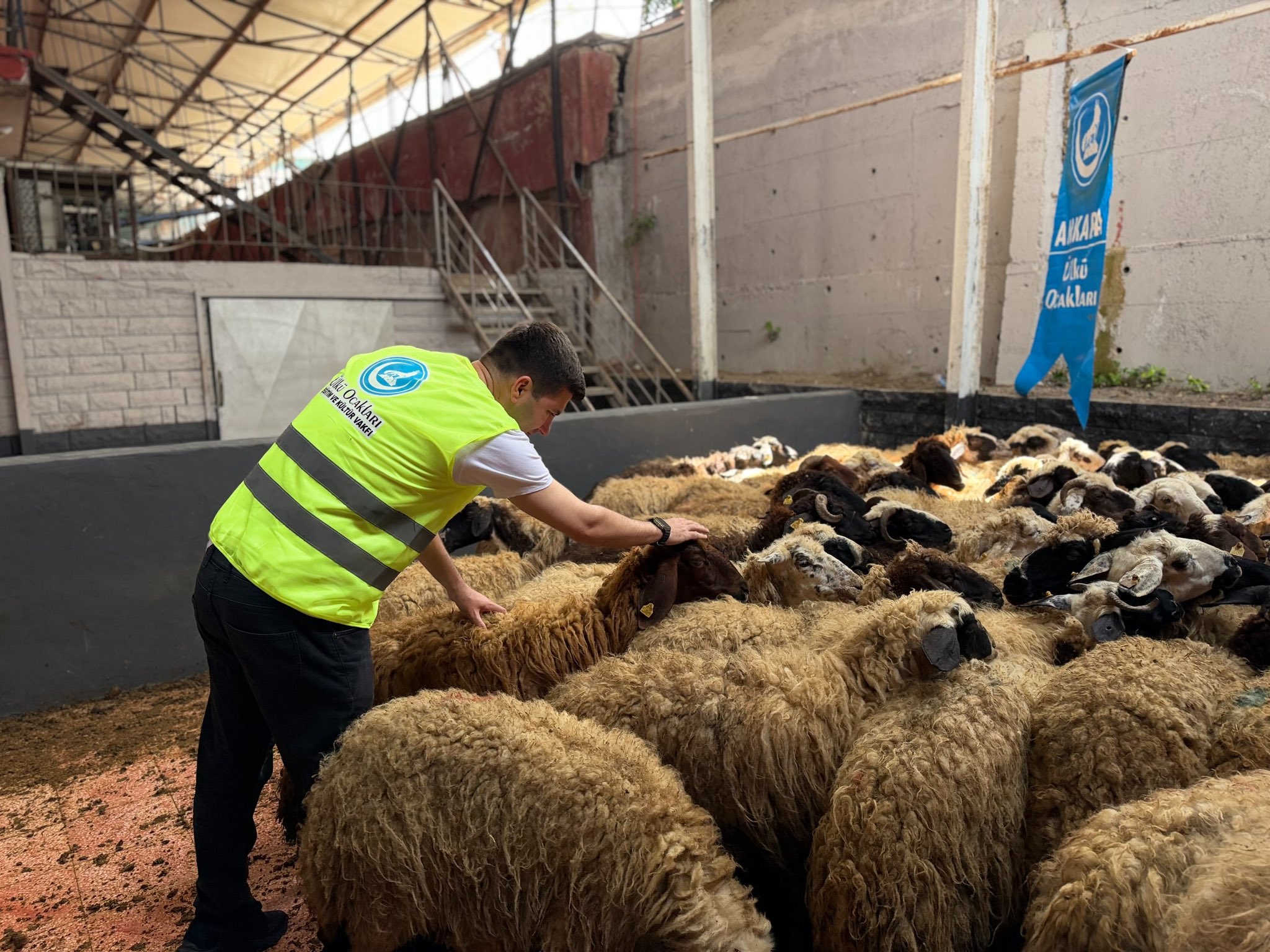 Kurban Tanıtımı